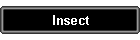 Insect